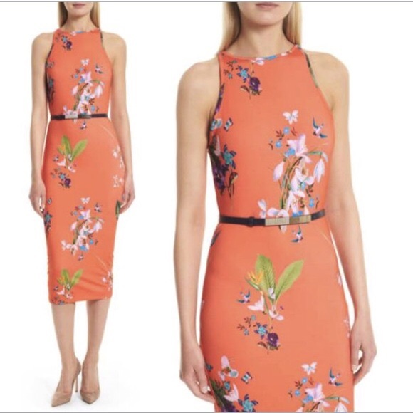 ted baker tropical oasis dress